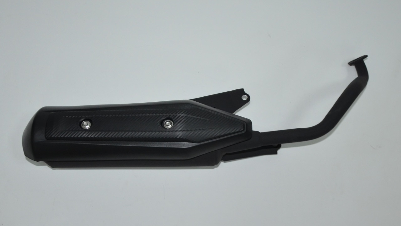 EGZOZ (PESARO125)